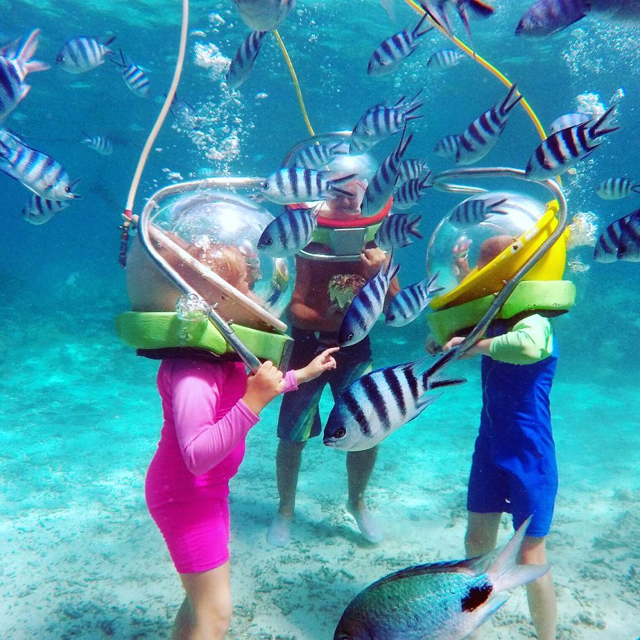 Scuba Dive [Boat Dive]